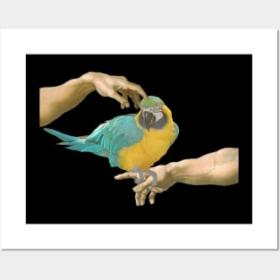 scritching a yellow macaw Posters and Art